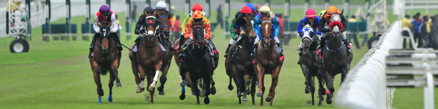 5 Things To Do Immediately About malaysia online betting websites